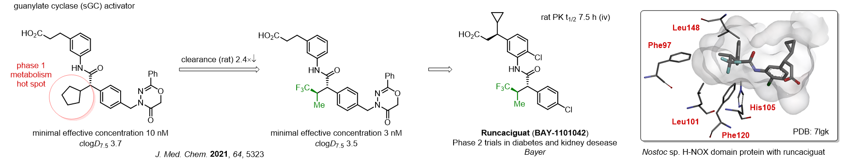 Case study: Trifluoroisopropyl Motif for Drug Design