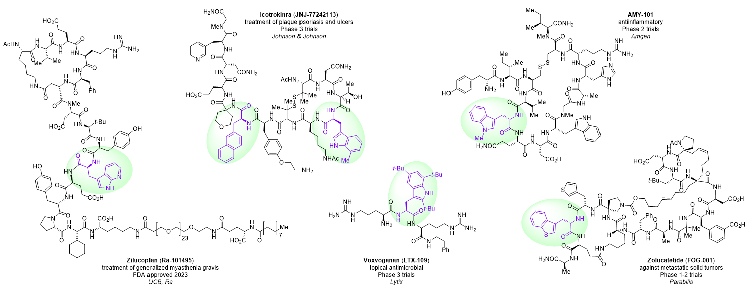 Tryptophan Analogues