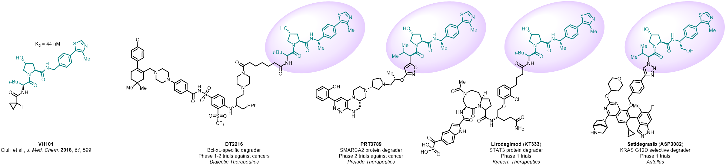 VHL Ligase Ligands for PROTAC Applications