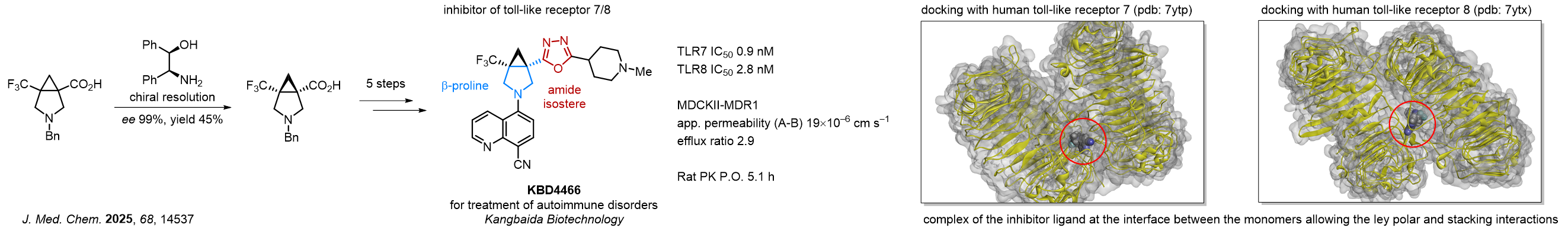 Case study: β-Proline Scaffold