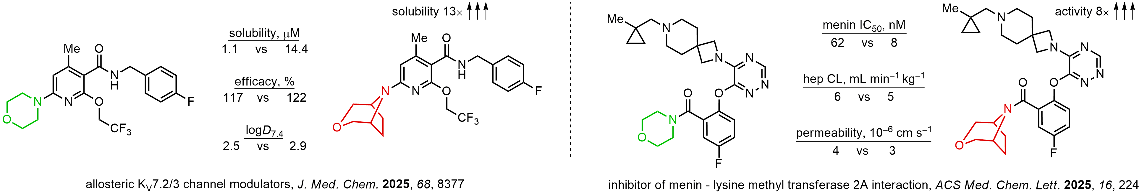 Bridged Morpholines for Drug Discovery