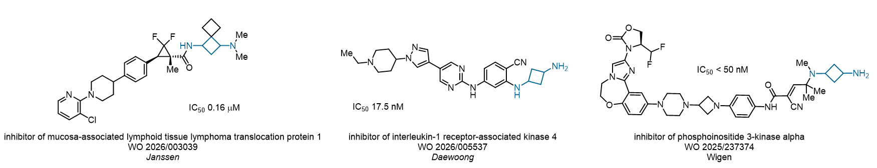 Cyclobutane Diamine Scaffold