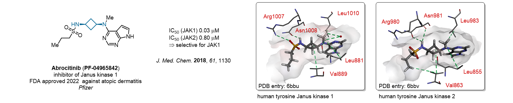 Case study: Cyclobutane Diamine Scaffold
