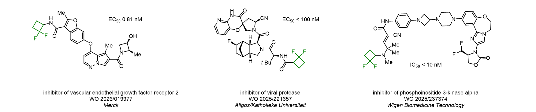 Fluoroalkyl Motif for Enhanced Solubility