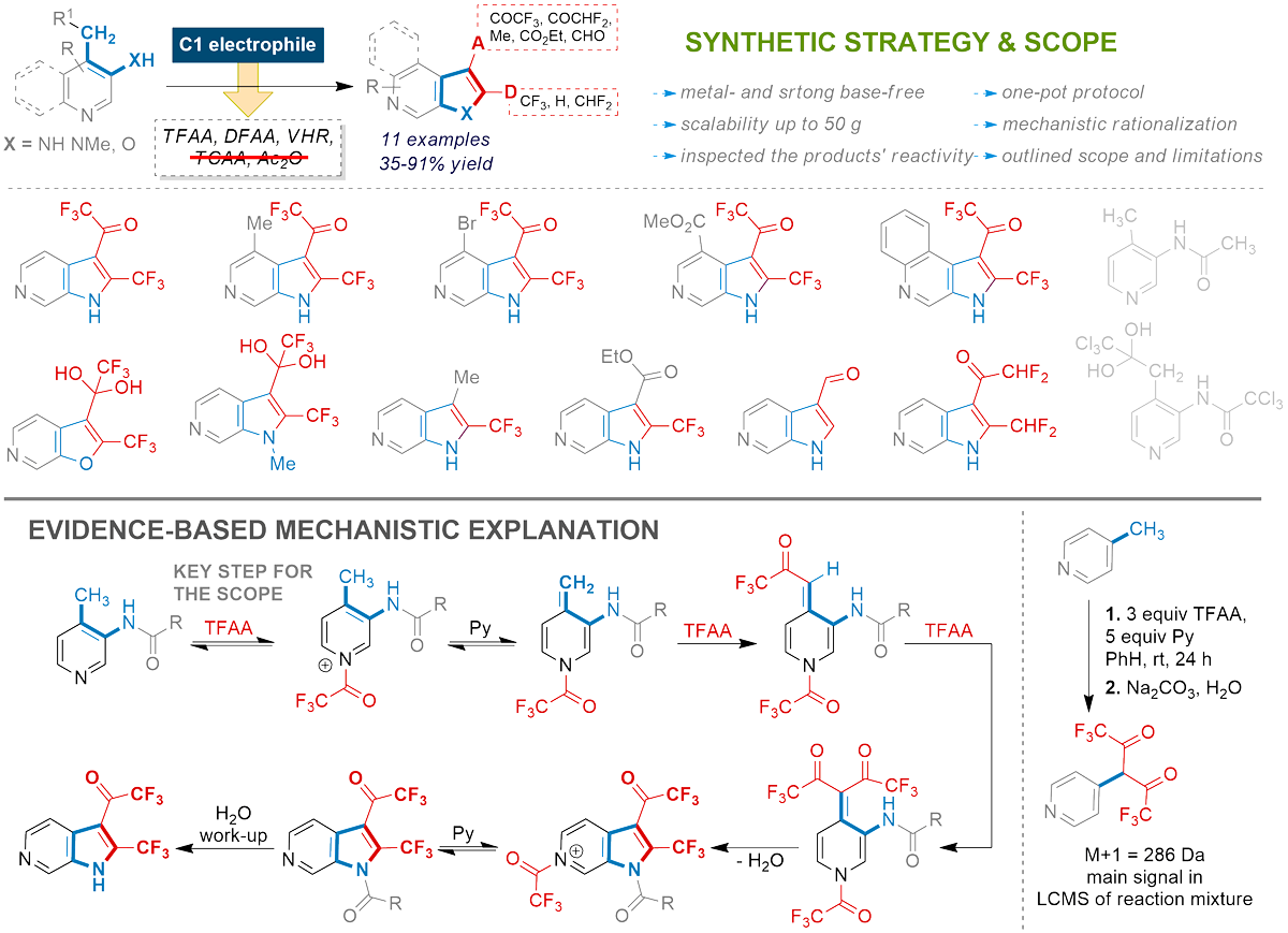 New horizons of 6-azaindoles. Graphical abstract