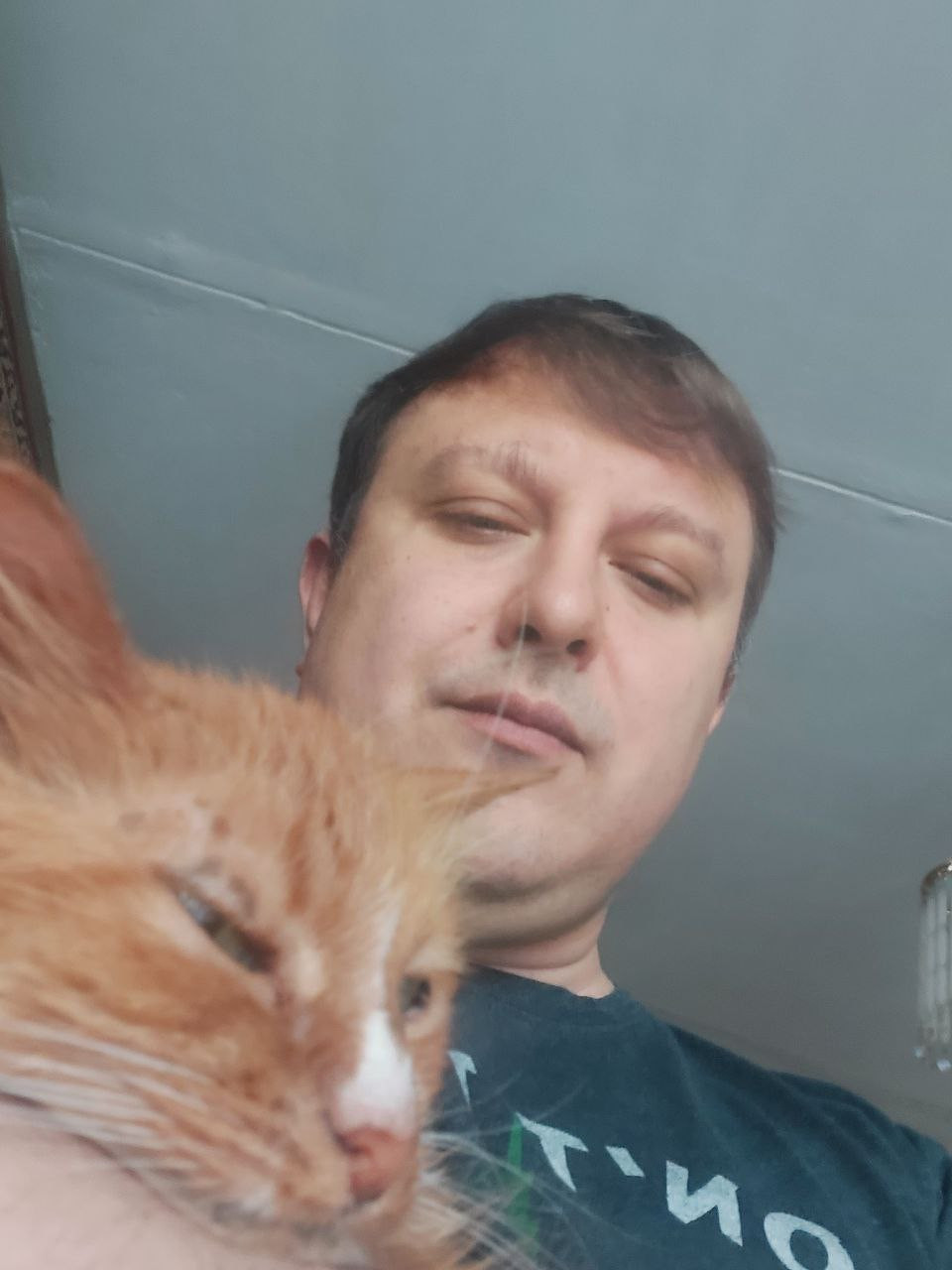 GO_selfie-with-cat