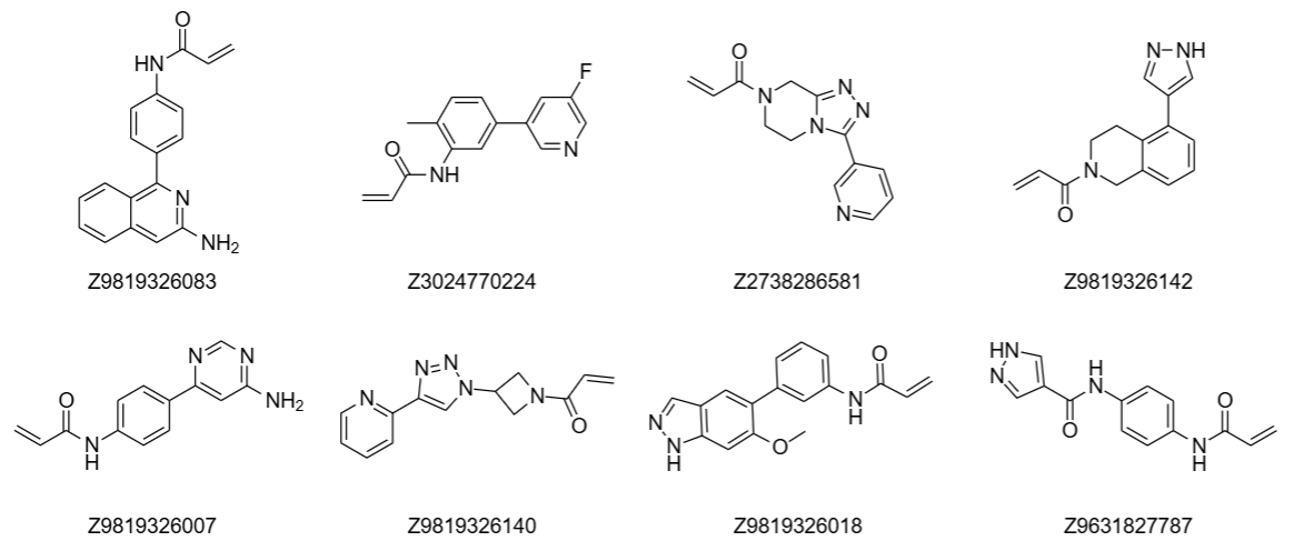 Examples of kinase covalent fragments
