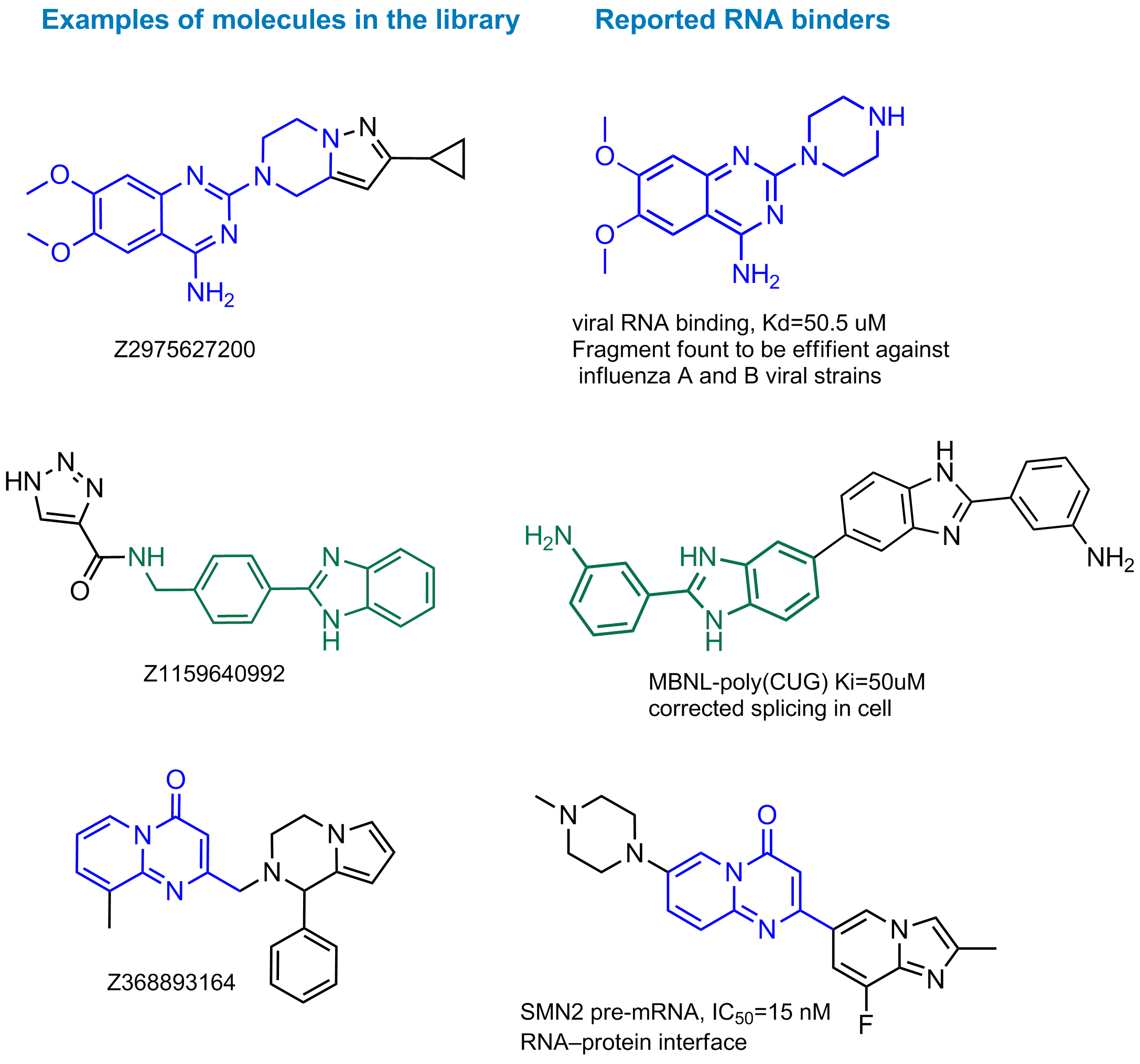 RNA Targeted Library