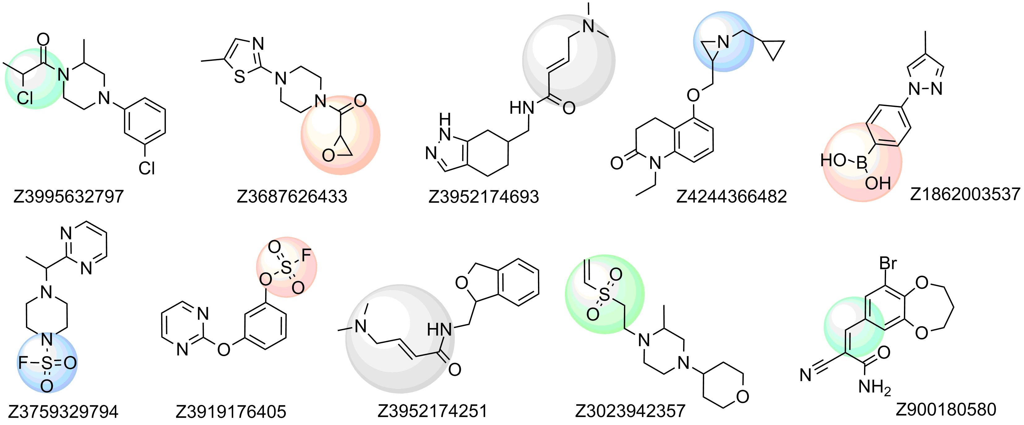 Examples of compounds in the library