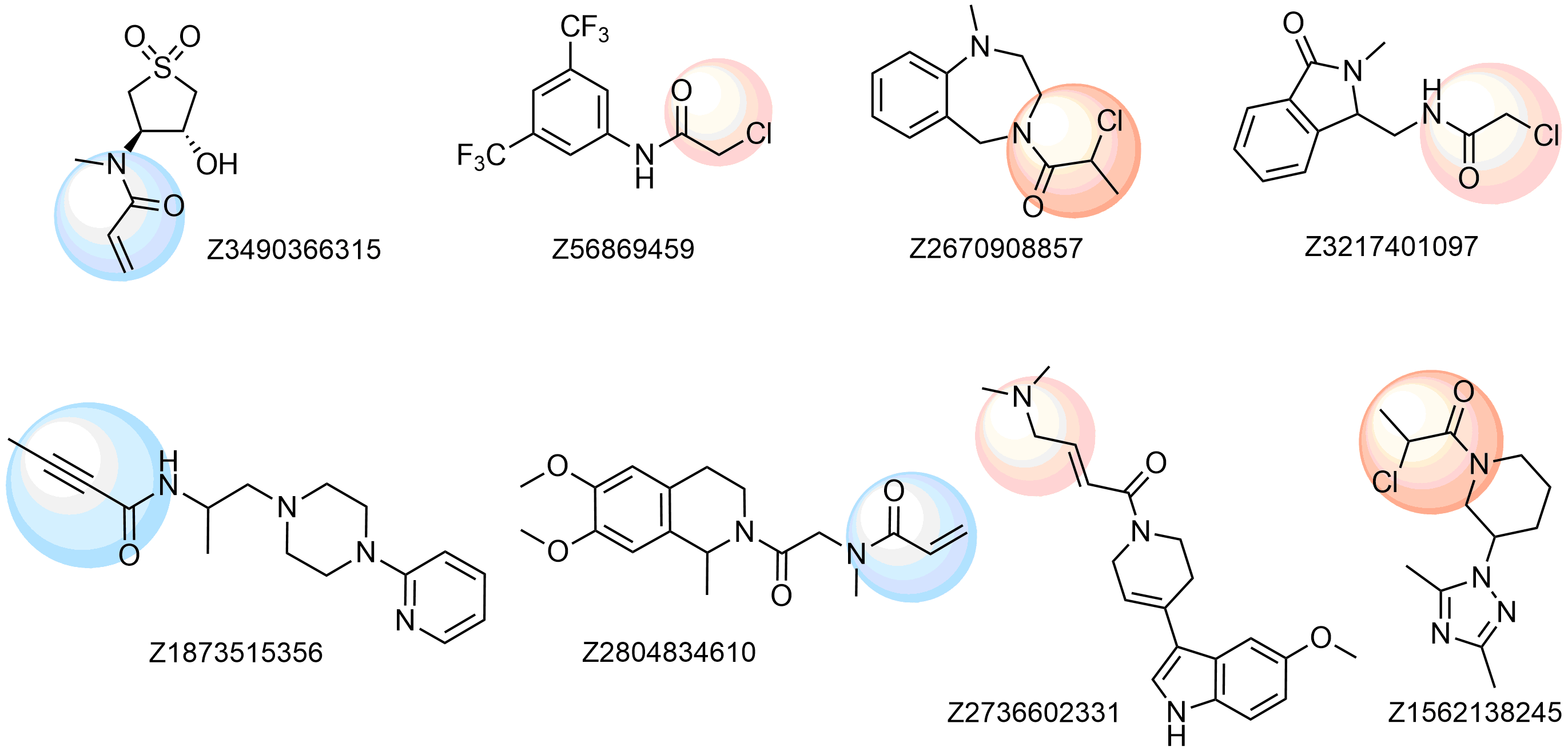 Examples of the molecules in Cysteine focused Library
