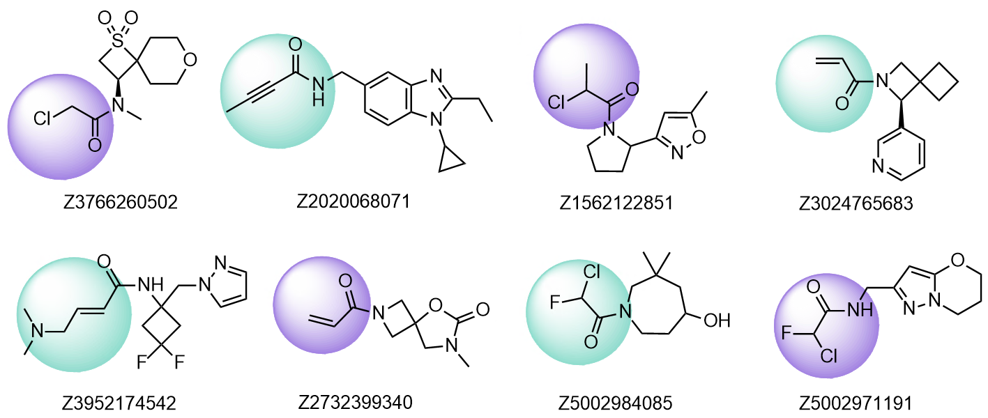 Examples of the molecules in Cysteine focused Library