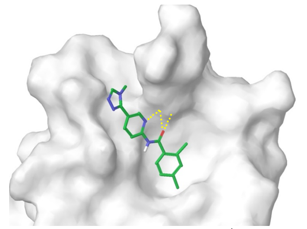 Figure 6. A representative example of Dvl/PDZ-domain binding ligand from our focused set.