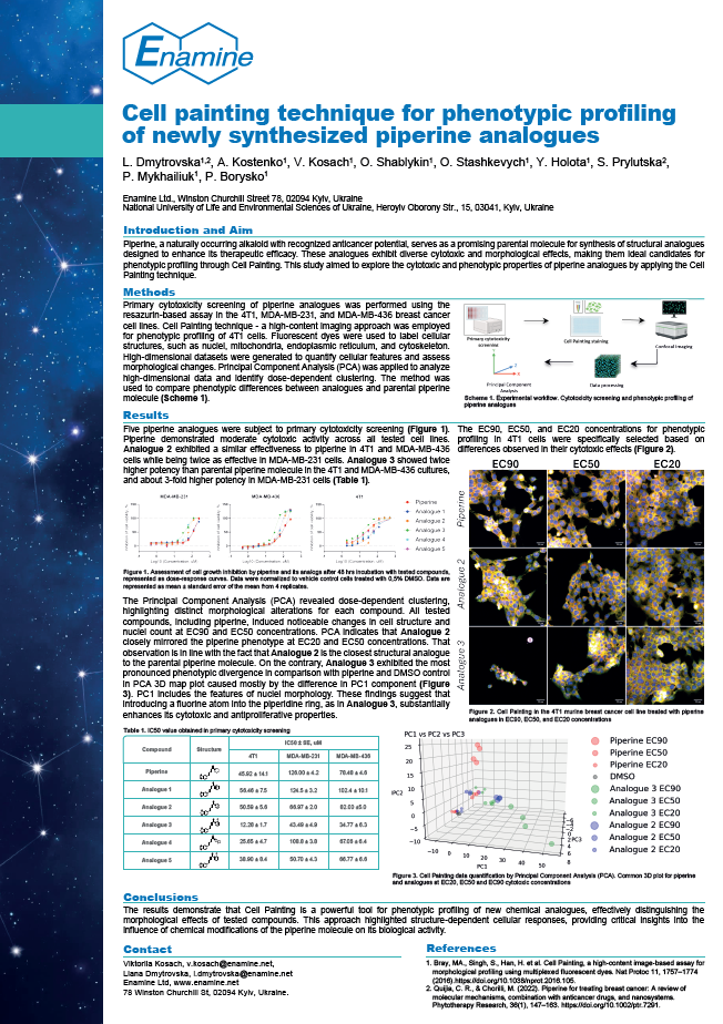 Cell painting technique for phenotypic profiling of newly synthesised piperine analogues