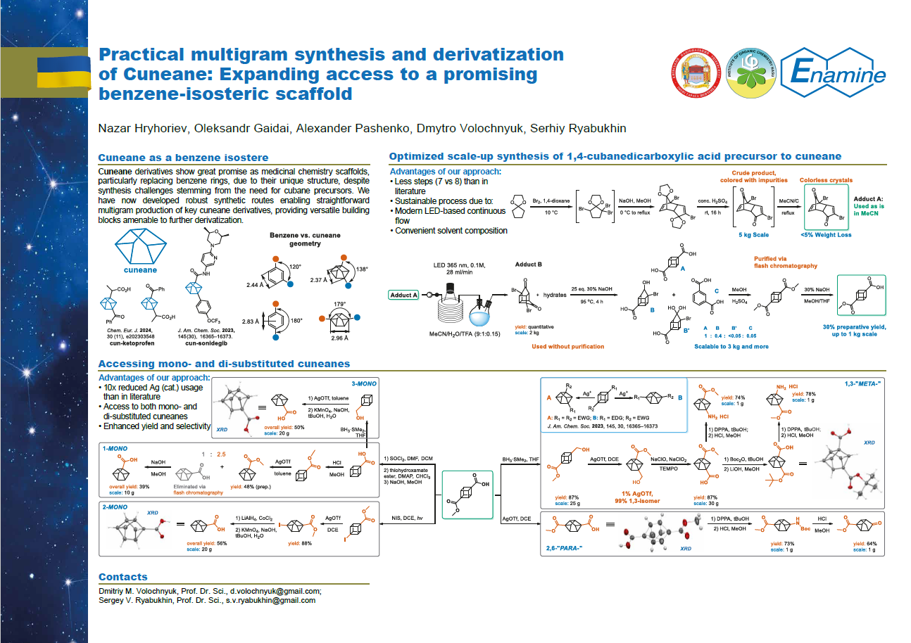 Practical multigram synthesis and derivatization of Cuneane: Expanding access to a promising