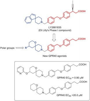 Novel FFA1 (GPR40) agonists containing spirocyclic periphery: polar azine periphery as a driver of potency