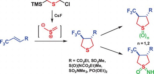 3-Functional substituted 4-trifluoromethyl tetrahydrothiophenes via [3 + 2]-cycloaddition reactions