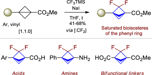 Difluoro-Substituted Bicyclo[1.1.1]pentanes for Medicinal Chemistry: Design, Synthesis, and Characterization