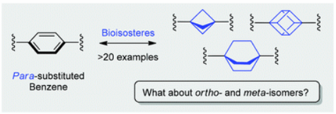 Saturated bioisosteres of benzene: where to go next?