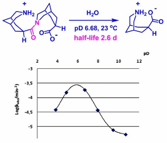 Fast Amide Bond Cleavage Assisted by a Secondary Amino