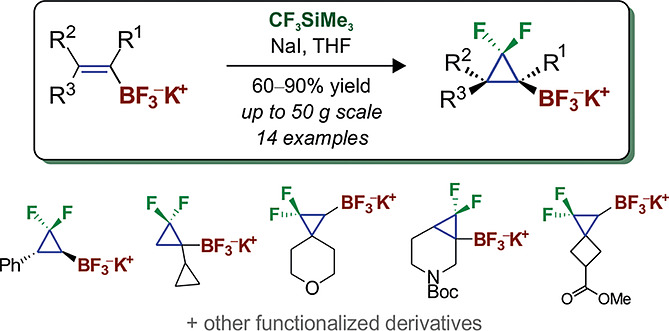 gem-Difluorocyclopropanation of Alkenyl Trifluoroborates with the CF3SiMe3-NaI System