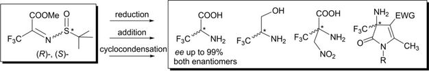 Enantiomeric N-tert-Butylsulfinyl Imines of Methyl Trifluoropyruvate: Promising Building Blocks in Asymmetric Synthesis of α-Trifluoromethylated Amino Acids and Derivatives