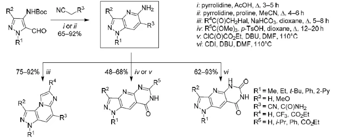 Synthesis of 5-amino-1H-pyrazolo[4,3-b]pyridine derivatives and annulation of imidazole and pyrimidine rings thereto