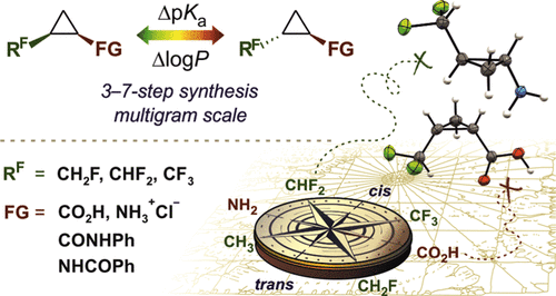 Fluoroalkyl-Substituted Cyclopropane Derivatives: Synthesis and Physicochemical Properties