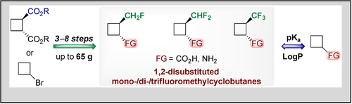 Fluoroalkyl-Containing 1,2-Disubstituted Cyclobutanes: Advanced Building Blocks for Medicinal Chemistry