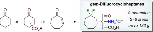 Last of the gem-Difluorocycloalkanes 2: Synthesis of Fluorinated Cycloheptane Building Blocks