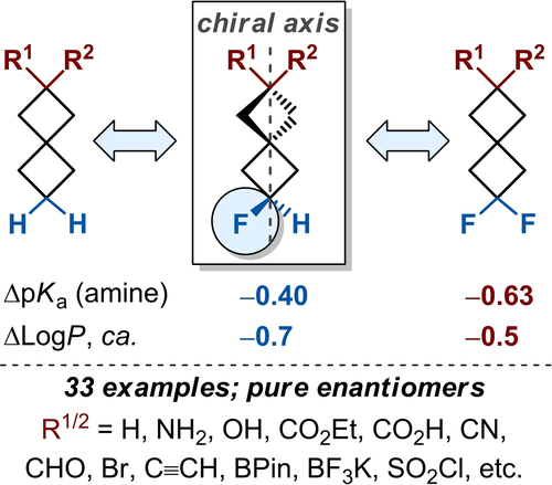 Fluorine-Labelled Spiro[3.3]heptane-Derived Building Blocks: Is Single Fluorine the Best?