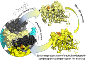 In silico mechanistic model of microtubule assembly inhibition by selective chromone derivatives