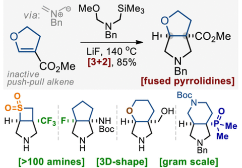 Bicyclic Pyrrolidines for Medicinal Chemistry via [3 + 2]-Cycloaddition