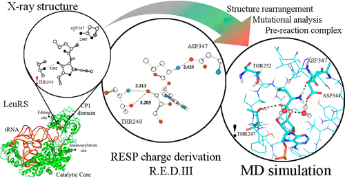 Effect of Charge Distribution in a Modified tRNA Substrate on Pre-Reaction Protein-tRNA Complex Geometry