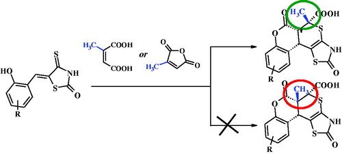 Citraconic acid and its anhydride-based hetero-Diels–Alder reactions in the synthesis of new thiopyrano[2,3-d][1,3]thiazole derivatives