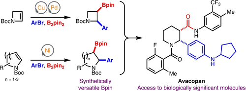 Arylboration of Enecarbamates for the Synthesis of Borylated Saturated N-Heterocycles