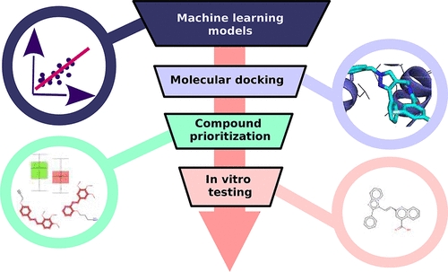 Identifying Novel Inhibitors for Hepatic Organic Anion Transporting Polypeptides by Machine Learning-Based Virtual Screening