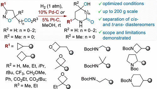 Reductive Recyclization of sp3-Enriched Functionalized Isoxazolines into α-Hydroxy Lactams