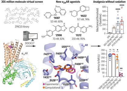 Structure-based discovery of nonopioid analgesics acting through the α2A-adrenergic receptor