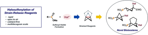Rapid and scalable halosulfonylation of strain-release reagents