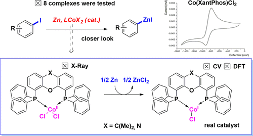 Redox Behavior of Cobalt–Phosphine Complexes vs Their Catalytic Activity in Organozinc Compound Formation: Background for Mechanistic Investigations