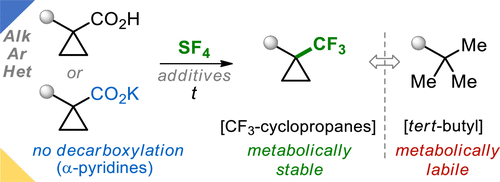 General and Scalable Approach to Trifluoromethyl-Substituted Cyclopropanes