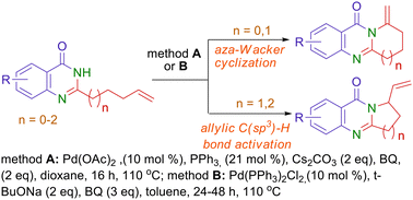 Pd-catalyzed oxidative amination of 2-alkenylquinazolin-4(3H)-ones: synthesis of methylene and vinyl derivatives of pyrrolo(pyrido)[2,1-b]quinazolinones