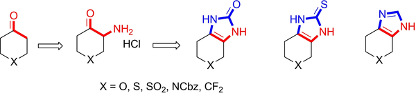 Synthesis of Fused sp3-Enriched Imidazoles