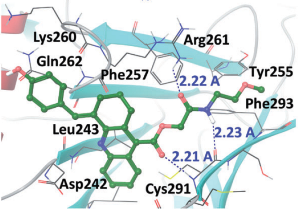 1E7-03, a low MW compound targeting host protein phosphatase-1, inhibits HIV-1 transcription