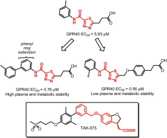 Novel free fatty acid receptor 1 (GPR40) agonists based on 1,3,4-thiadiazole-2-carboxamide scaffold