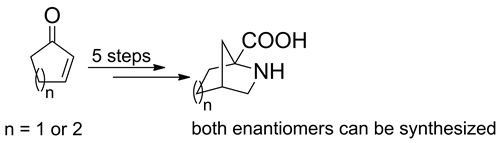 Stereoselective synthesis of 2,4-methanoproline homologues